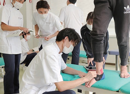 運動療法学演習の画像